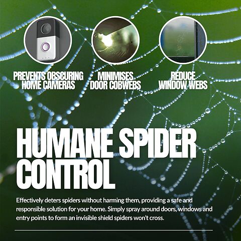 Spider Repellent Spray (4).png