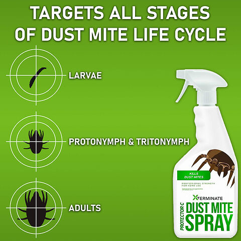 Dust Mite Spray Life Cycle