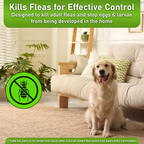  Kills Fleas