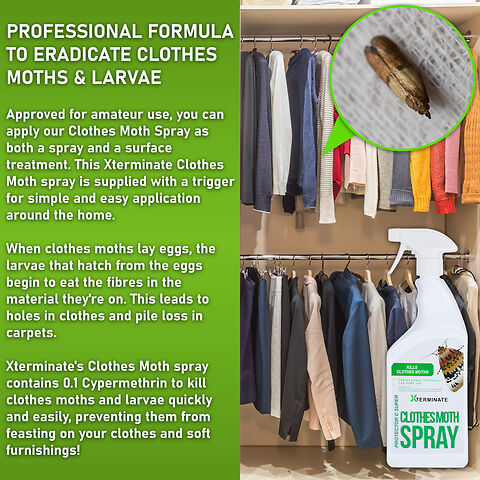 CLOTHES MOTH SECONDARY 4 v2.jpg