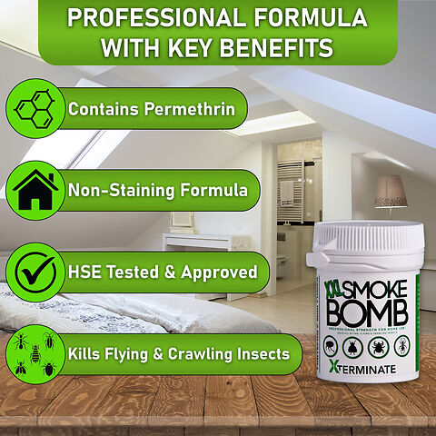 Professional Formula 